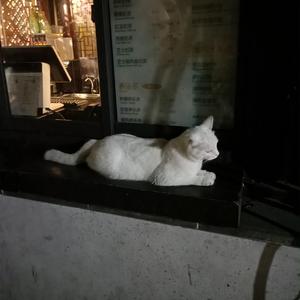 陶片色区安装免费
